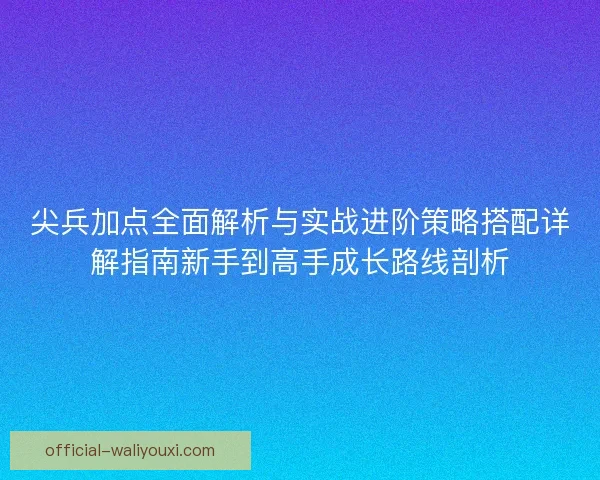尖兵加点全面解析与实战进阶策略搭配详解指南新手到高手成长路线剖析